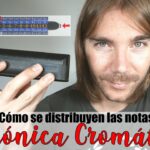 🎵 Encuentra la Mejor Armonica Cromática al Mejor Precio 🎶