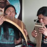 🎶 Descubre los secretos de la 🎋 armonica de bambú: una joya musical única