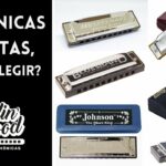 🎶 ¡Encuentra las mejores 🪗 armonicas usadas en venta! El mejor sonido al mejor precio 🤑