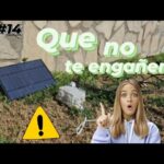 🎵 Arpas eléctricas para velutinas: la solución para combatir las avispas con estilo ✨