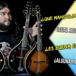 🎶🔥 Descubre las mejores mandolinas de alta gama y déjate llevar por su calidad y sonido excepcional 🎵🔝