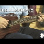 🎸 Descubre el encanto del 🎵 ukelele barítono electroacústico 🎶: El instrumento perfecto para tus melodías