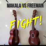 🎶🎸 ¡Únete al concierto de Ukelele Freeman y disfruta de su increíble música! 🌟