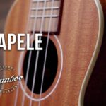 🎶🎋 ¡Descubre el encanto del 🎸 Ukelele Tenor Bamboo! La perfecta combinación entre sonido y sostenibilidad 🌿✨