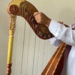 🎵🌺 Descubre las características del hermoso arpa jarocha: ¡un instrumento lleno de tradición y sonidos mágicos! 🎶✨