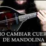 🎶 Descubre las mejores cuerdas de mandolina para deslumbrar con tu música 🎸