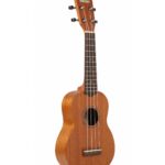 🎵😍 ¿Quieres comprar un ukelele? Descubre las mejores opiniones sobre el ukelele Oqan en nuestra guía actualizada. ¡Elige el mejor sonido para tus melodías! 🌟🎸