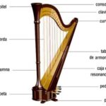 🎶 ¡Descubre la magia del 🎻 arpa 304 🎵 en nuestro último post! Aprende todo sobre este instrumento icónico 🌟