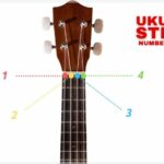 🎶🎸 ¡Descubre todo sobre el 🌟Ukelele Nombre de las cuerdas! 💥 Guía completa y recomendaciones