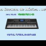 🎹 ¡Descubre el increíble mundo del 🎹 Teclado Piano Yamaha 🎹! Guía completa para elegir el mejor modelo y llevar tu pasión por la música al siguiente nivel 🎶💯