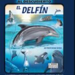 🐬 ¡El secreto de los delfines al descubierto! Descubre el poderoso silbato dolphin 🌊