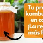 🥗 Descubre cómo hacer tu propia Mandolin Kombucha en casa: una alternativa refrescante y saludable 🥗