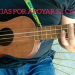 🎸 Descubre lo mejor de las guitarras de 4 cuerdas: ¡El sonido que estás buscando!