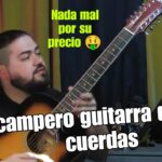 🎸 Guitarras Campero: Descubre los secretos detrás del sonido más auténtico 🌵