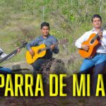 🎸 Descubre las mejores guitarras en Oaxaca: ¡Encuentra tu instrumento perfecto en esta ciudad llena de música!