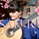 🎸✨ Descubre las maravillosas guitarras Sakura: la perfecta melodía en tus manos 🌸