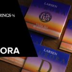 🌌 Descubre la magia del 🎻 Larsen Aurora Violin: opiniones, características y dónde comprar