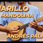 🎶 Descubre la magia de la 🎵 Mandolina Llanera 🌾 en este completo post