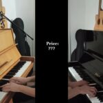 🎹 Descubre los encantadores pianos Petrof: calidad y elegancia en tus manos 🎵