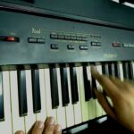 🎹 ¡Descubre las increíbles características del teclado Roland EP-75! 🎵