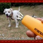 🐶💥 Descubre cómo el silbato inhibidor de perros puede mejorar la convivencia con tu mascota