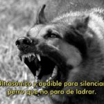 🐶🔇 Silbato Ultrasónico para Callar Perros: ¡La solución definitiva para el ruido molesto! 🐾