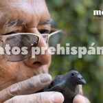 🐦 Descubre los mejores 🌟 silbatos de animales 🐾 para entrenar a tus mascotas