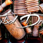 🥁 Descubre el fascinante mundo del tambor indígena: símbolo de tradición y autenticidad