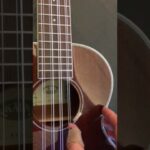 🎶🎸 Descubre la magia del 🌟 Ukelele 8 cuerdas: todo lo que necesitas saber 🌈🎶