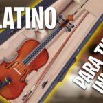 🎻 Violin Palatino 4/4: ⭐️ Opiniones y Reseñas de Expertos