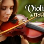 🎻 Descubre los mejores violines de ensueño para impresionar con tu música 🌟