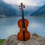 🎻 Descubre la magia de los violines instrumentales: ¡Sumérgete en un mar de melodías únicas!